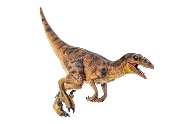 Dinozaur Tło Izolowane Velociraptor — Zdjęcie stockowe
