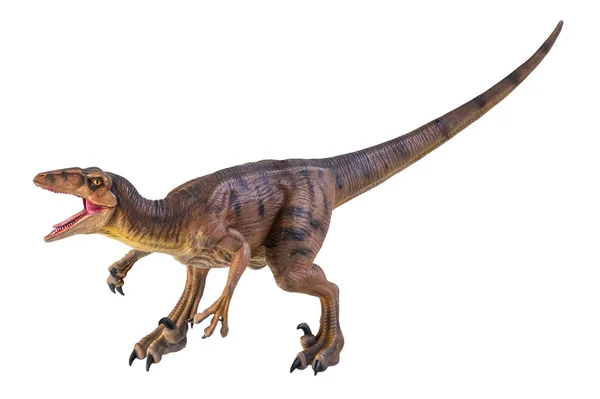 Dinozaur Tło Izolowane Velociraptor — Zdjęcie stockowe