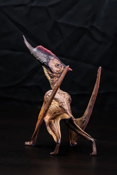 Dsungaripterus Dinosaurus Het Donker — Stockfoto
