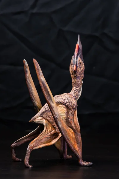 Динозавр Денаріптера Темряві — стокове фото