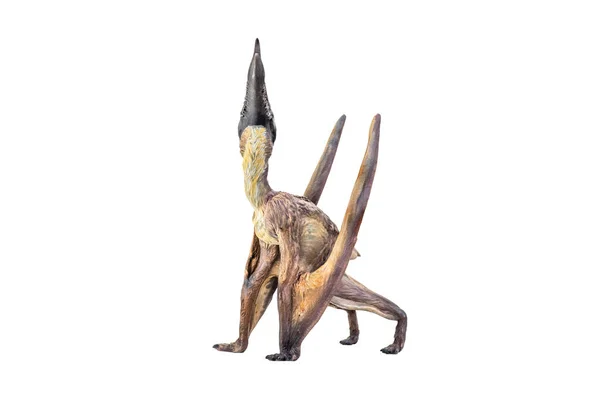 Dinozaur Dsungaripterus Pojedyncze Tło — Zdjęcie stockowe