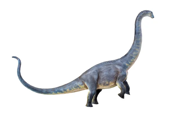 공룡인 브론토사우루스는 고립된 배경을 가지고 — 스톡 사진