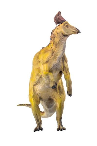 Динозавр Olorotitan Изолированный Фон — стоковое фото