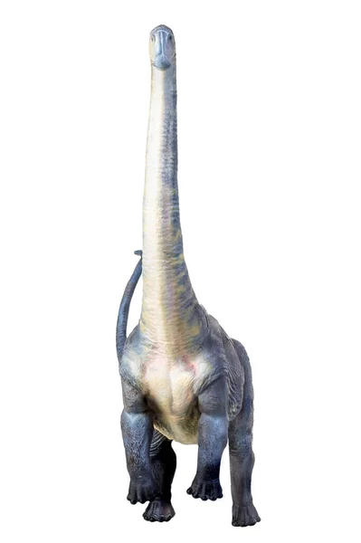 Δεινόσαυρος Απομονωμένο Υπόβαθρο Brontosaurus — Φωτογραφία Αρχείου