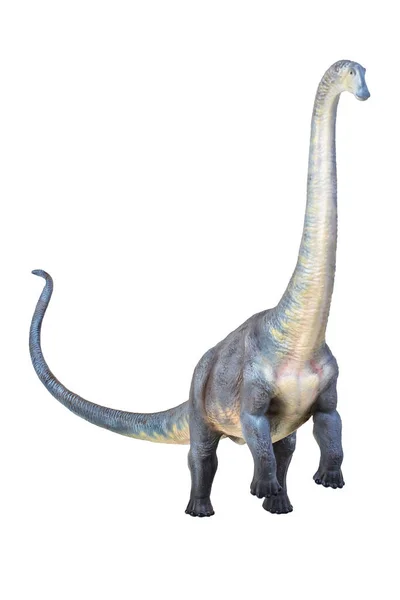 Dinosaurie Brontosaurus Isolerad Bakgrund — Stockfoto