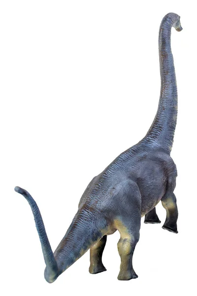 Dinozaur Brontosaurus Pojedyncze Tło — Zdjęcie stockowe