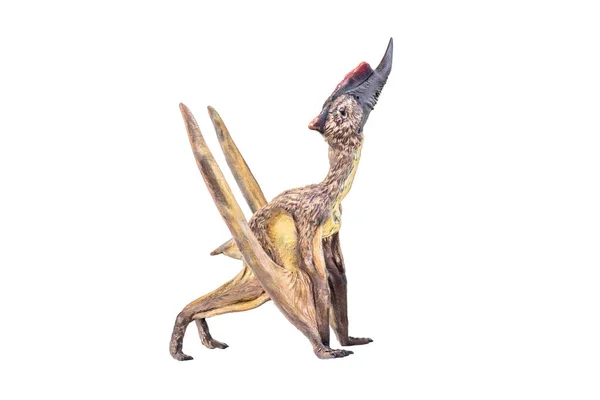 Динозавр Dsungaripterus Изолированный Фон — стоковое фото