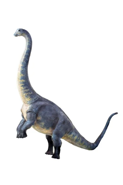 Dinossauro Brontossauro Isolado Fundo — Fotografia de Stock