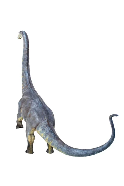 Dinosaurio Brontosaurus Fondo Aislado — Foto de Stock