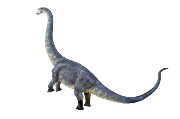 Dinosaurus Brontosaurus Latar Belakang Terisolasi — Stok Foto