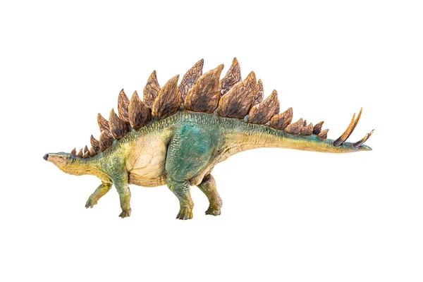 Dinosaurio Estegosaurio Sobre Fondo Aislado — Foto de Stock