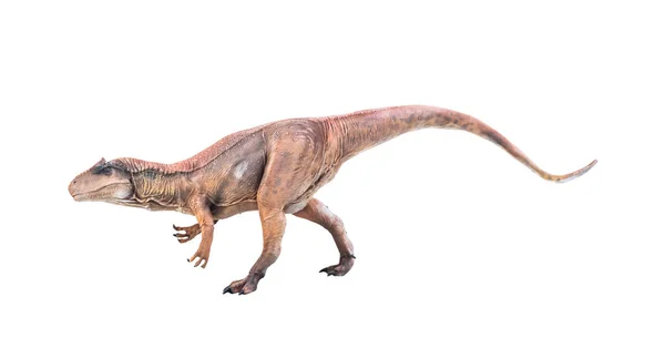 Dinosauro Allosauro Sfondo Isolato — Foto Stock