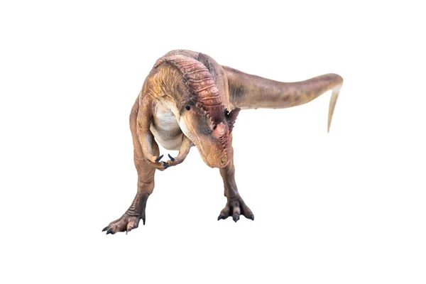 Dinoszaurusz Allosaurus Izolált Alapon — Stock Fotó