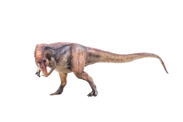 アロサウルスは隔離された背景で — ストック写真