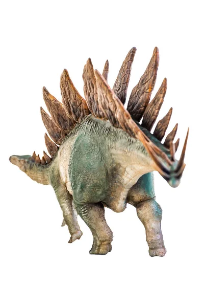 Dinosaurio Estegosaurio Sobre Fondo Aislado —  Fotos de Stock