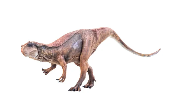 Dinosaurie Allosaurus Isolerad Bakgrund — Stockfoto