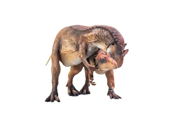 Δεινόσαυρος Αλόσαυρος Απομονωμένο Φόντο — Φωτογραφία Αρχείου