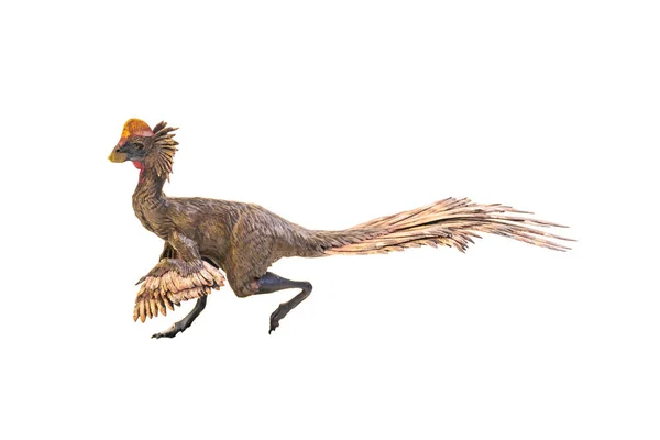 Dinosaurie Anzu Wyliei Isolerad Bakgrund — Stockfoto