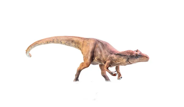 Динозавр Аллозавр Изолированном Фоне — стоковое фото