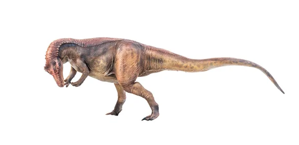 Dinosaurus Allosaurus Geïsoleerde Achtergrond — Stockfoto