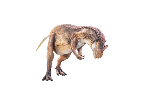 Dinosauro Allosauro Sfondo Isolato — Foto Stock