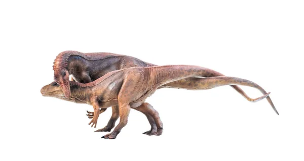 Динозавр Allosaurus Ізольованому Тлі — стокове фото