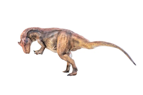 Dinosaurie Allosaurus Isolerad Bakgrund — Stockfoto