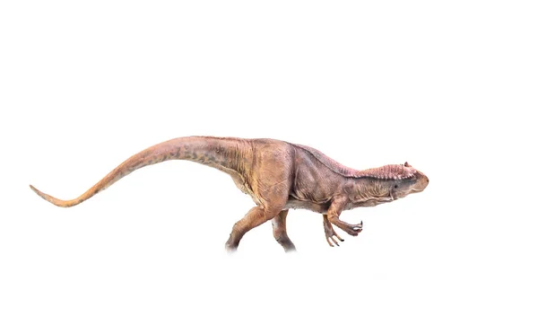 Динозавр Аллозавр Изолированном Фоне — стоковое фото