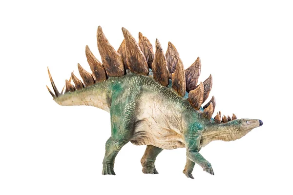 Динозавр Стегозавр Ізольованому Фоні — стокове фото