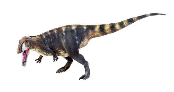 Dinozaur Karcharadontozaur Izolowane Tło — Zdjęcie stockowe