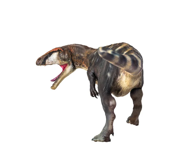 Dinozaur Karcharadontozaur Izolowane Tło — Zdjęcie stockowe