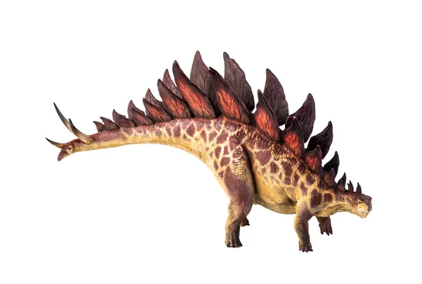 Динозавр Стегозавр Изолированный Фон — стоковое фото