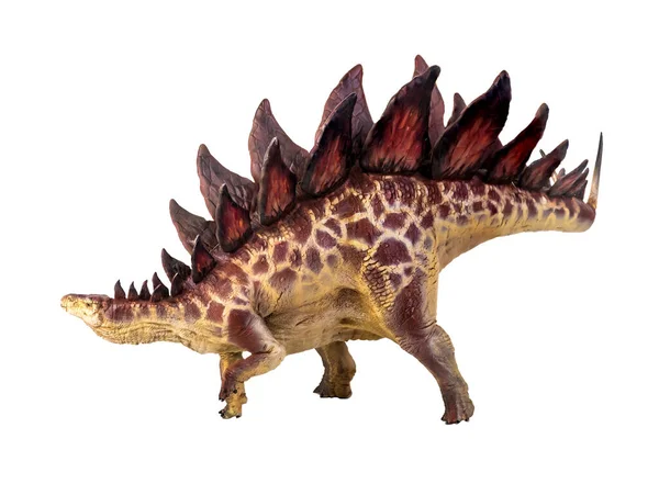 Dinozor Stegosaurus Izole Edilmiş Arka Plan — Stok fotoğraf