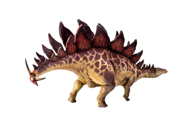 Dinozaur Stegozaur Pojedyncze Tło — Zdjęcie stockowe