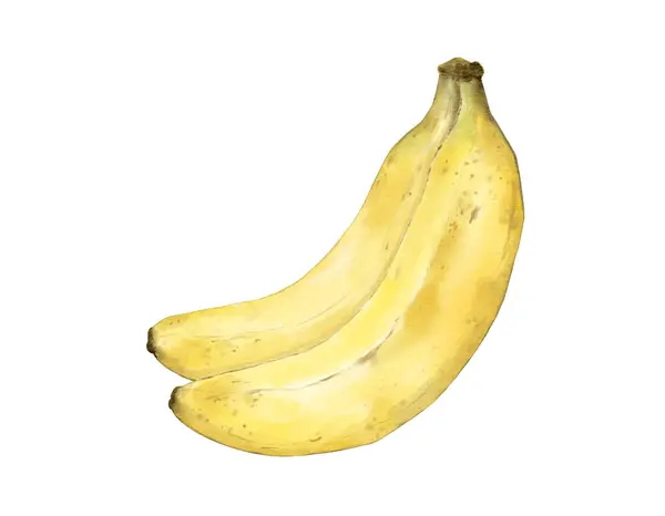Banan Owoce Kompozycja Akwarela Ilustracja Pojedynczy Element — Zdjęcie stockowe