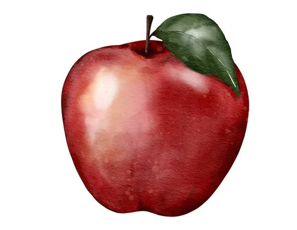 Äpple Frukt Sammansättning Akvarell Illustration Isolerat Element — Stockfoto