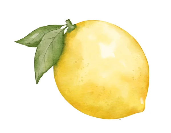Citron Frukt Akvarell Illustration Isolerat Element — Stockfoto