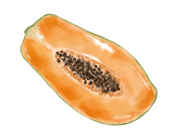 Papaya Frukt Akvarell Illustration Isolerat Element — Stockfoto