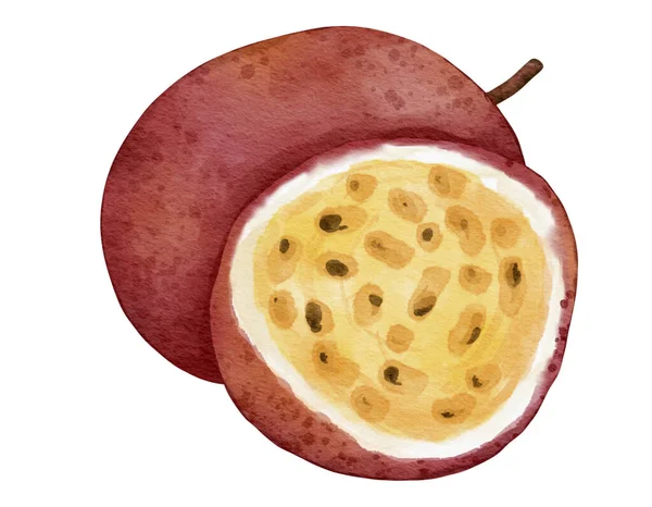 Passionfruit Ovoce Akvarel Ilustrace Izolovaný Prvek — Stock fotografie
