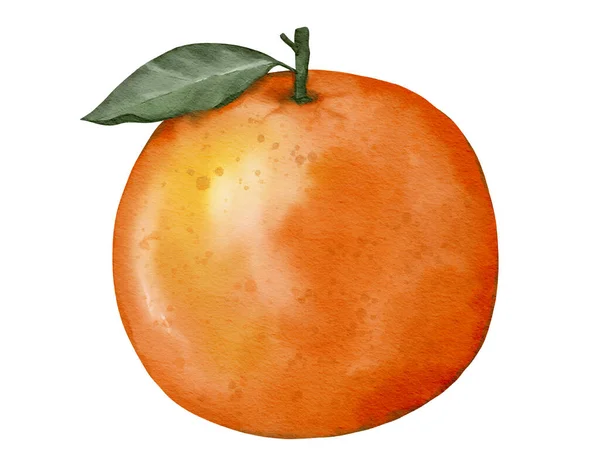 Pomarańczowy Owoc Akwarela Ilustracja Pojedynczy Element — Zdjęcie stockowe
