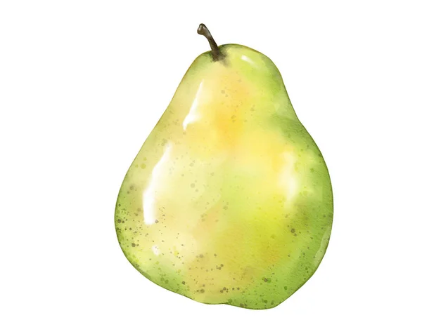 Päron Frukt Akvarell Illustration Isolerat Element — Stockfoto