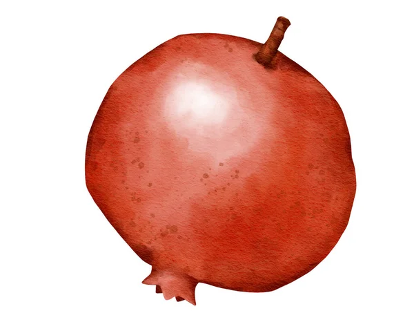 Granatäpple Frukt Akvarell Illustration Isolerat Element — Stockfoto