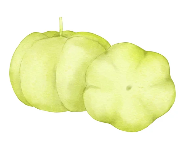 Stjärna Krusbär Frukt Akvarell Illustration Isolerat Element — Stockfoto