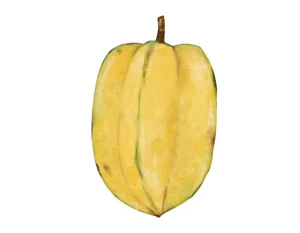 Akwarela Owoców Starfruit Ilustracja Pojedynczy Element — Zdjęcie stockowe