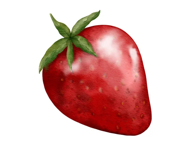 Φράουλα Φρούτα Ακουαρέλα Απεικόνιση Απομονωμένο Στοιχείο — Φωτογραφία Αρχείου
