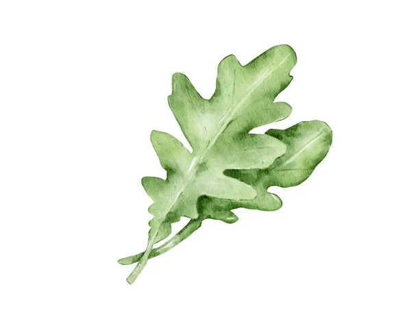 Rocket Vegetable Watercolor Illustration Isolated Element — Stock Photo, Image