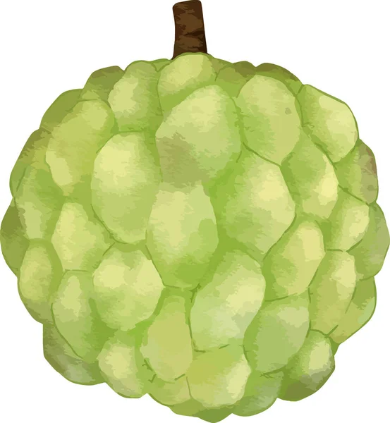 Pudink Jablečné Ovoce Složení Akvarel Ilustrace Izolovaný Prvek — Stockový vektor