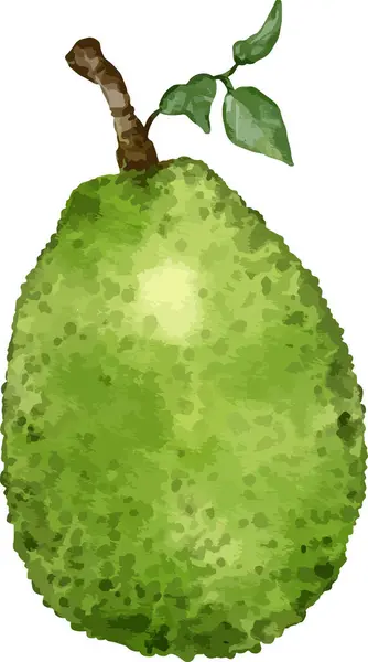 Jackfruit Frutta Acquerello Illustrazione Isolato Elemento — Vettoriale Stock