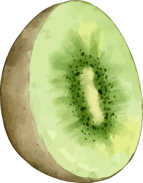 Kiwi Fruit Watercolor Illustration Isolated Element — Stock Vector