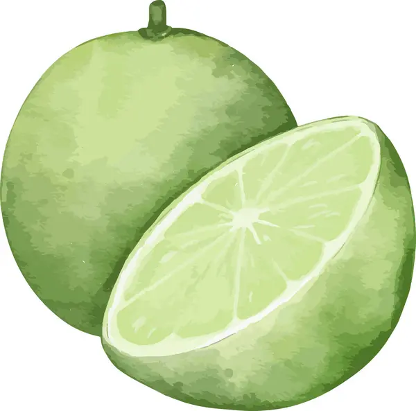 Limon Meyveli Suluboya Çizimi Izole Element — Stok Vektör